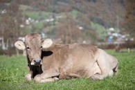 (c)grewe-fotodesign__MG_7751.jpg